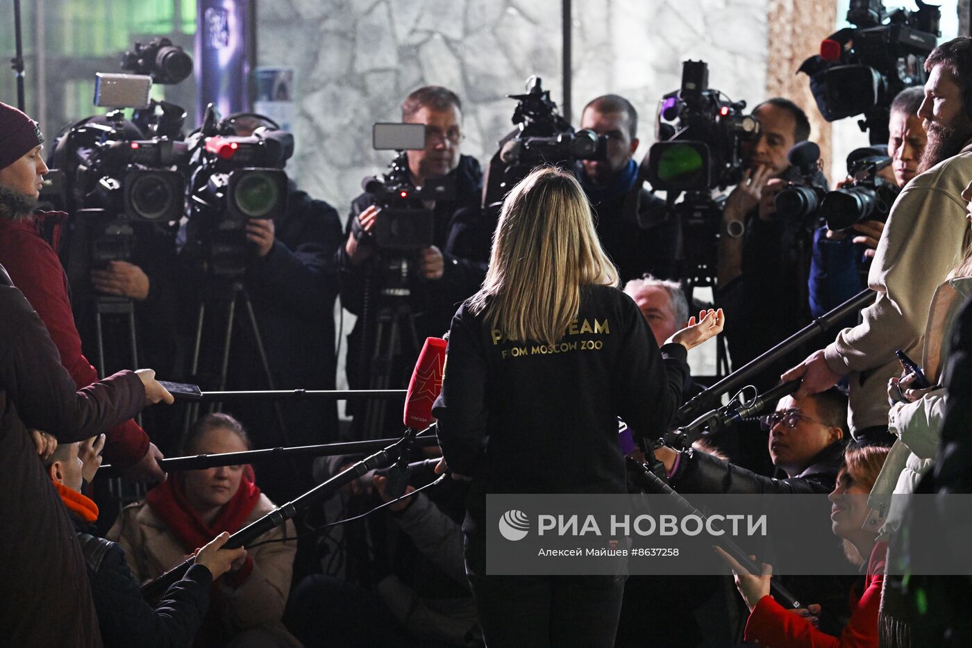 Панда Катюша из Московского зоопарка вышла в большой вольер