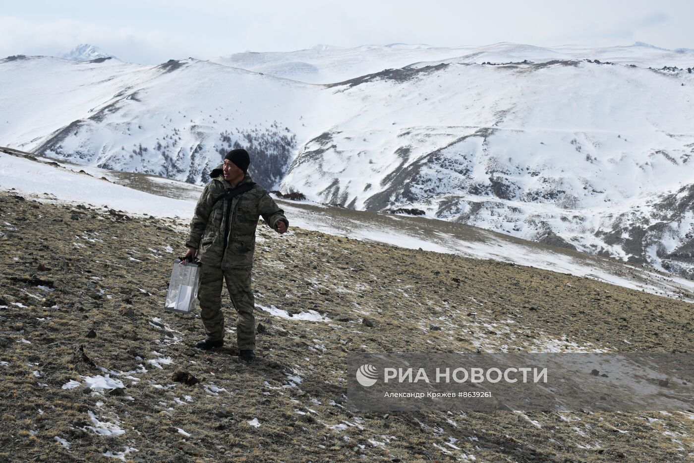 Досрочное голосование на выборах президента РФ