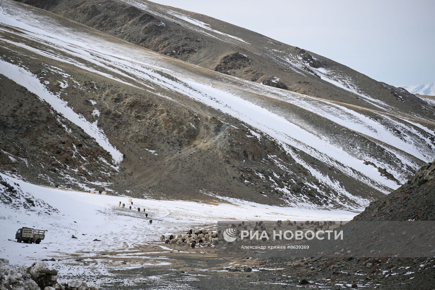 Досрочное голосование на выборах президента РФ