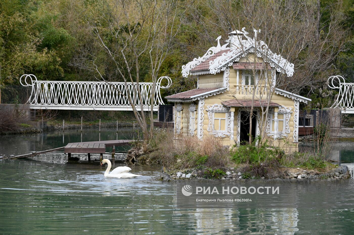 Цветение весенних растений в Сочи