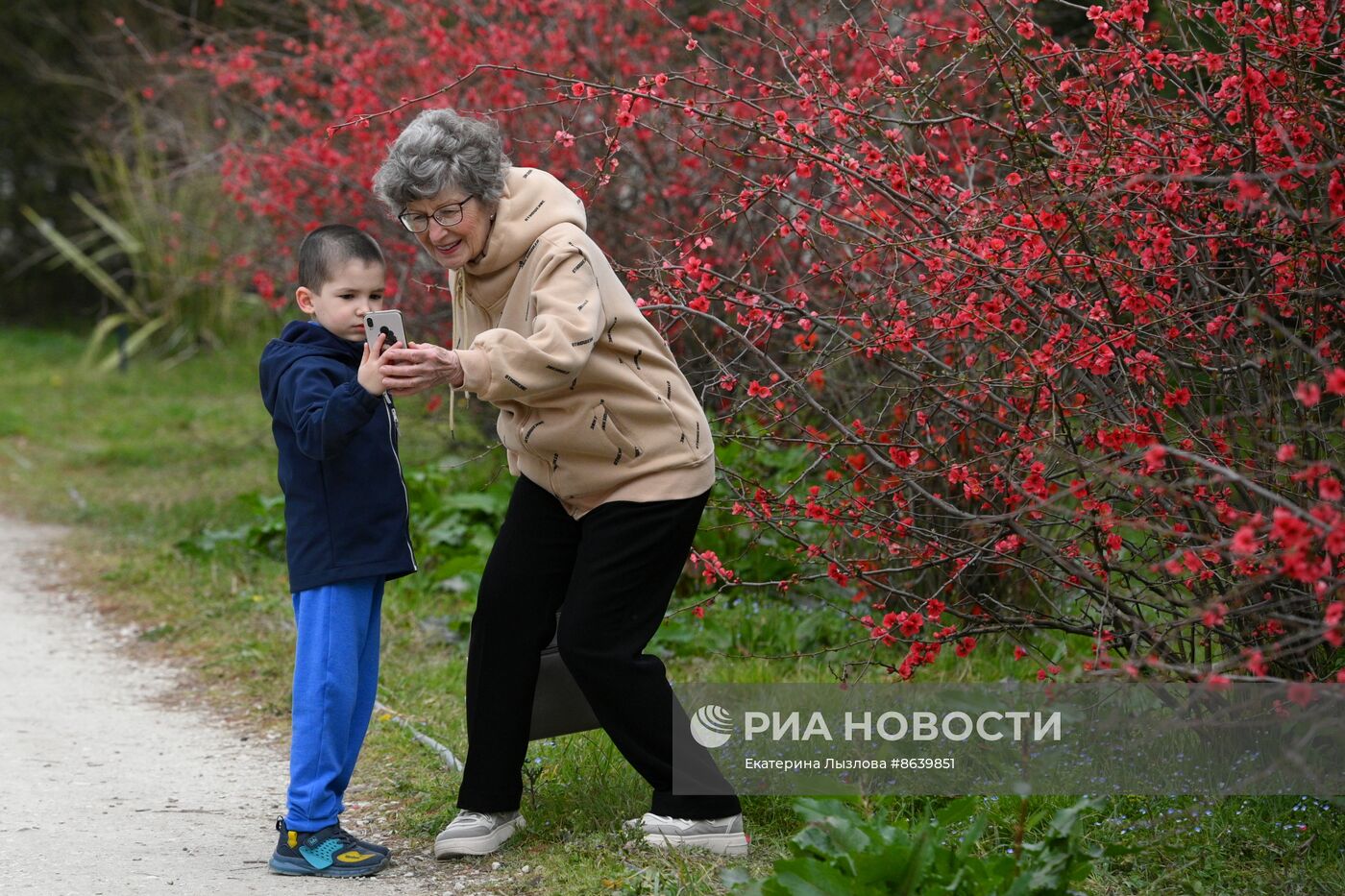 Цветение весенних растений в Сочи