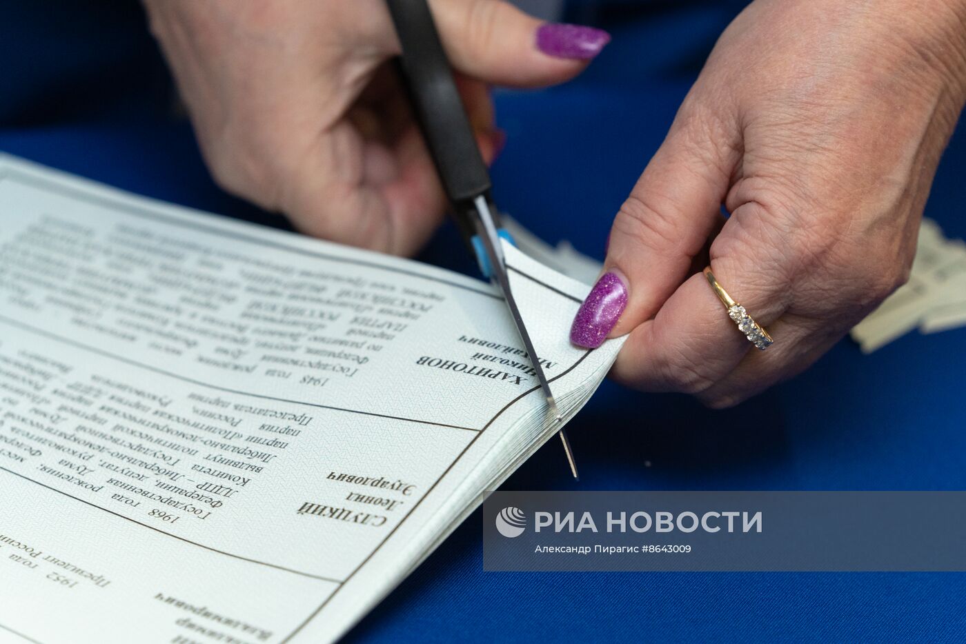 Подсчет голосов на выборах президента РФ 