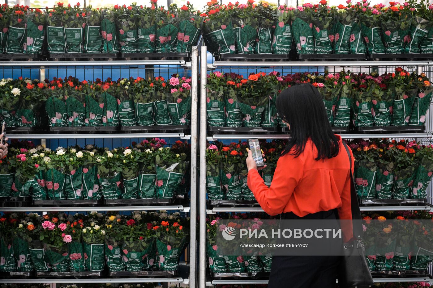 Открытие роботизированного комплекса по выращиванию горшечной розы в Новосибирской области