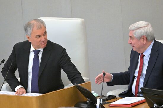 Пленарное заседание Госдумы РФ 