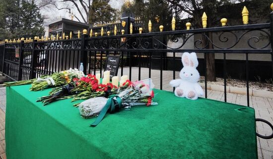 Акции памяти жертв теракта в "Крокус Сити Холле"