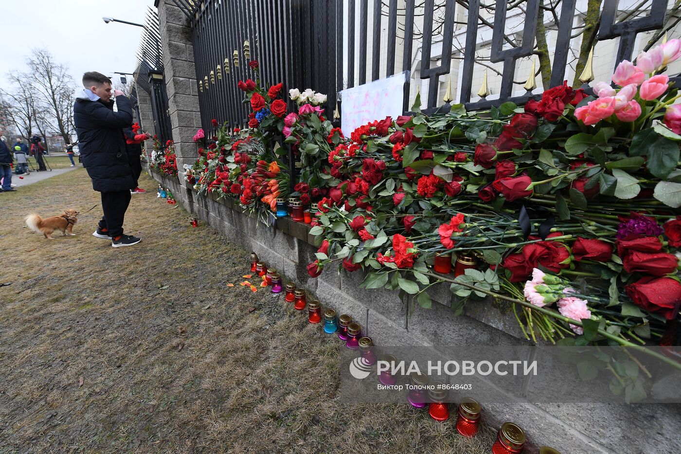 Акции памяти жертв теракта в "Крокус Сити Холле"