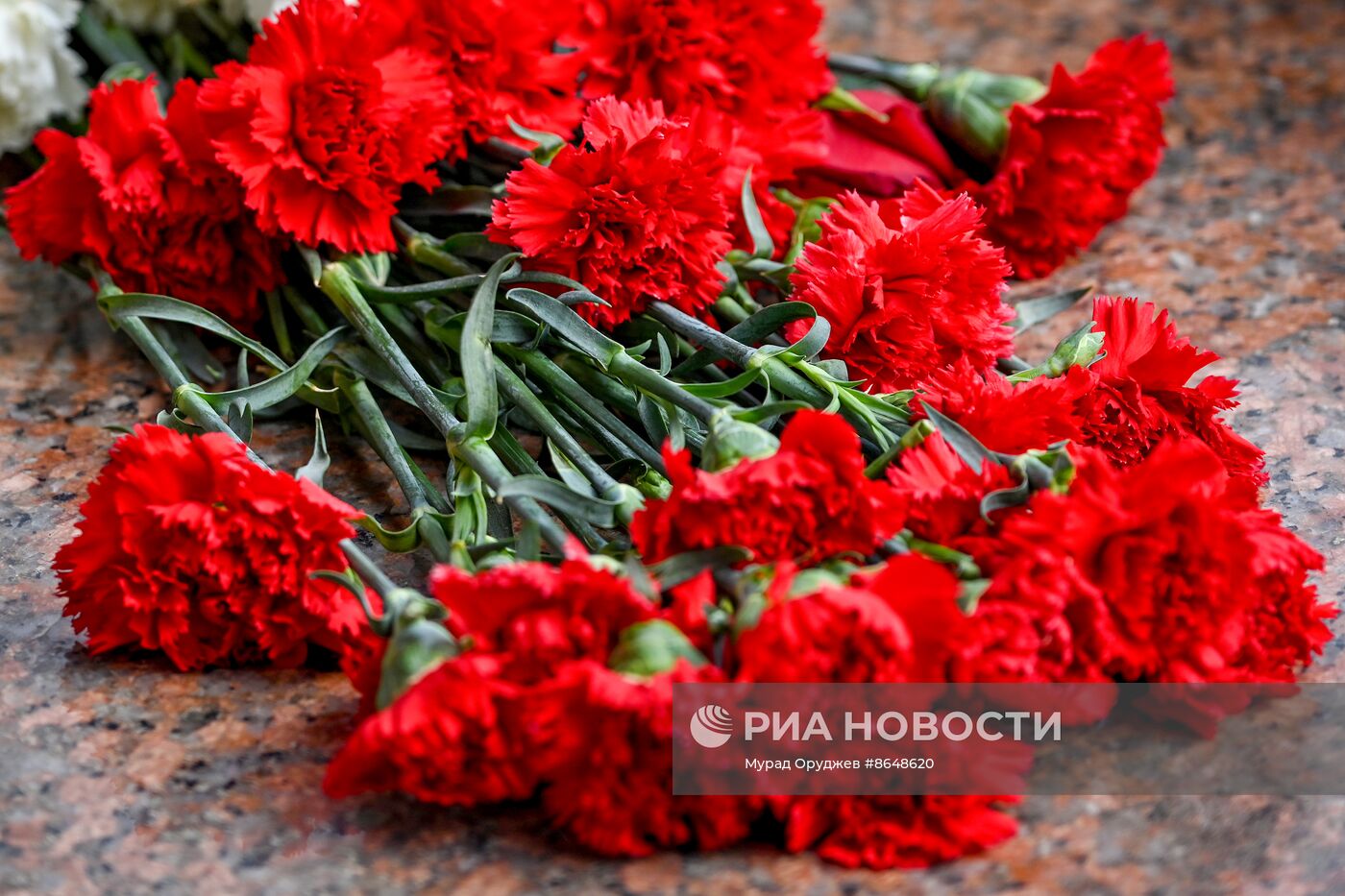 Акции памяти жертв теракта в "Крокус Сити Холле"