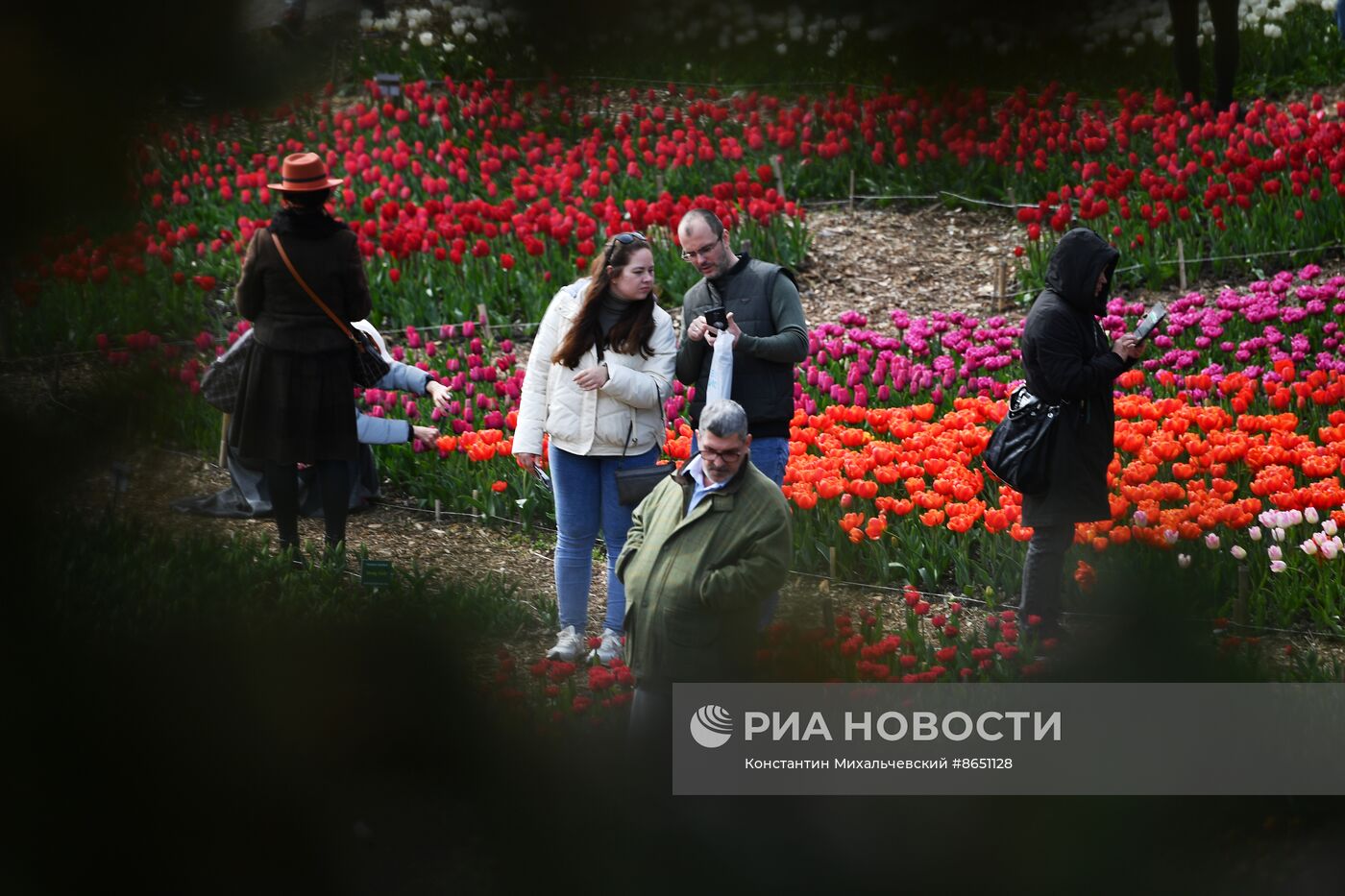 Парад тюльпанов в Крыму