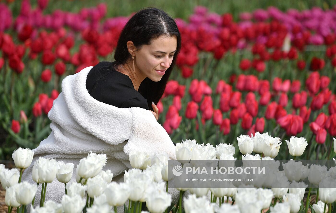 Парад тюльпанов в Крыму