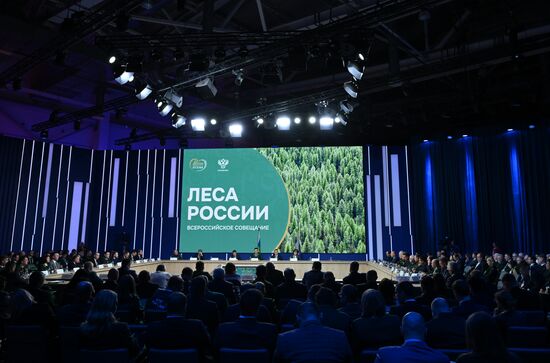 Выставка "Россия". Всероссийское совещание "Леса России: основные итоги работы лесного хозяйства России в 2023 году и задачи на 2024 год"