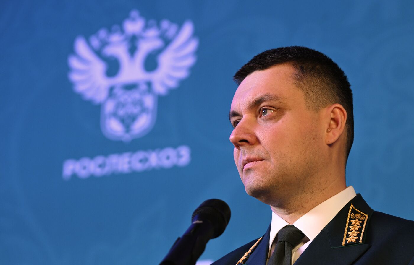 Выставка "Россия". Пресс-подход руководителя Федерального агентства лесного хозяйства И. Советникова