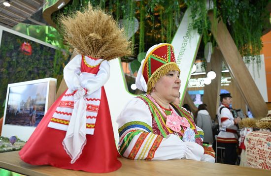 Работа выставки "Россия"