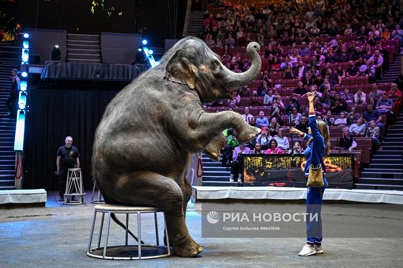 Открытая репетиция в Большом московском цирке