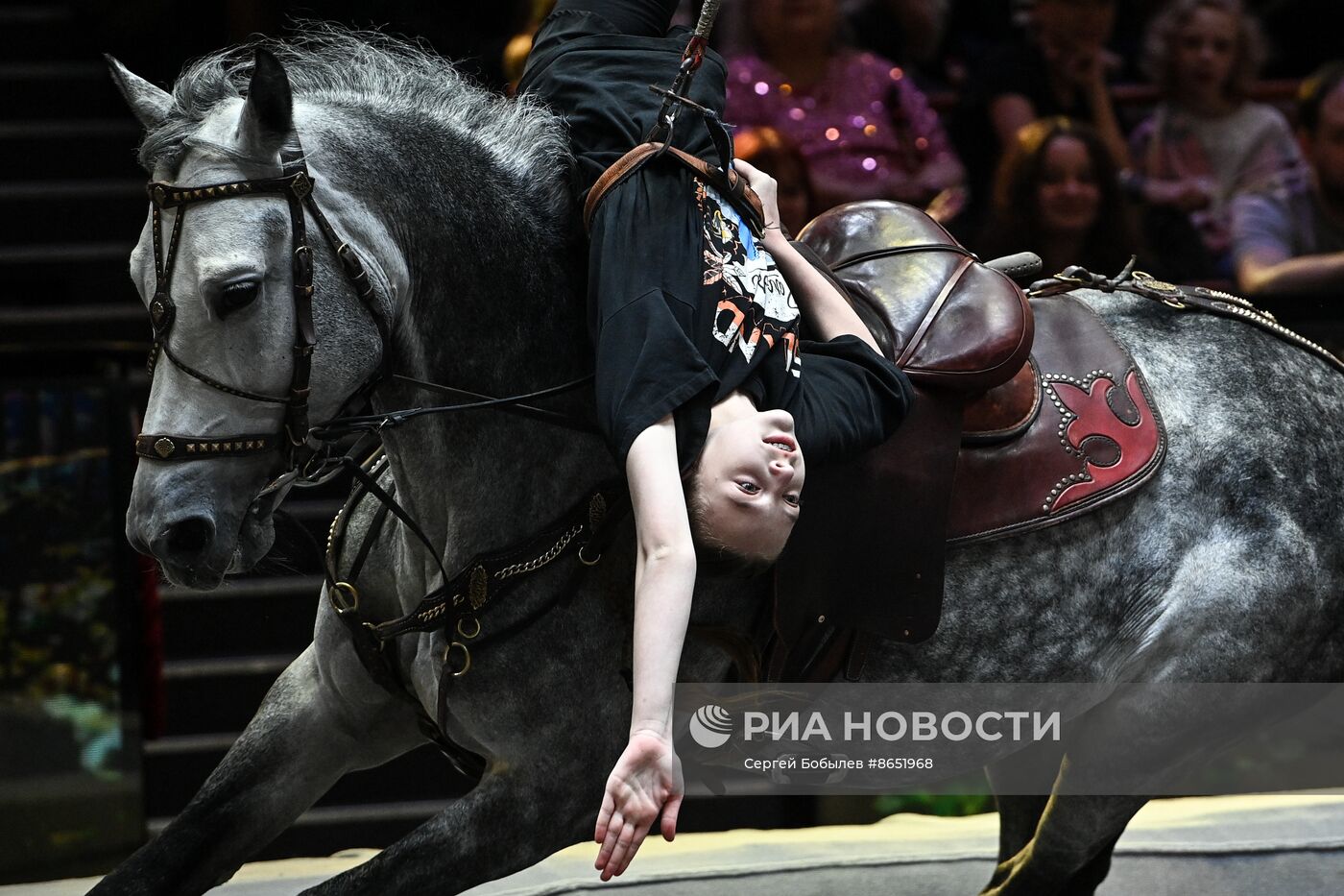 Открытая репетиция в Большом московском цирке