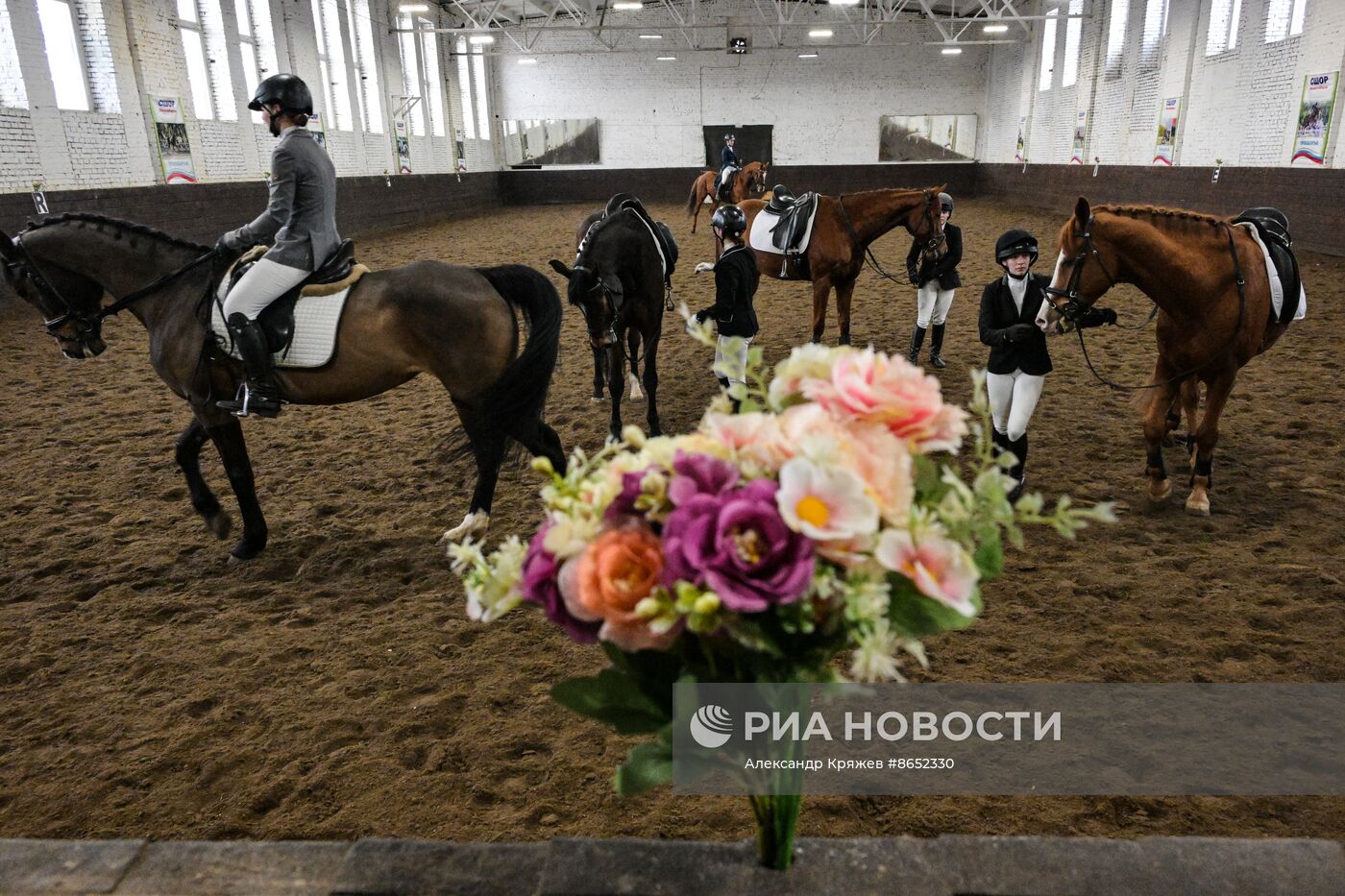 Школа олимпийского резерва по конному спорту в Новосибирске