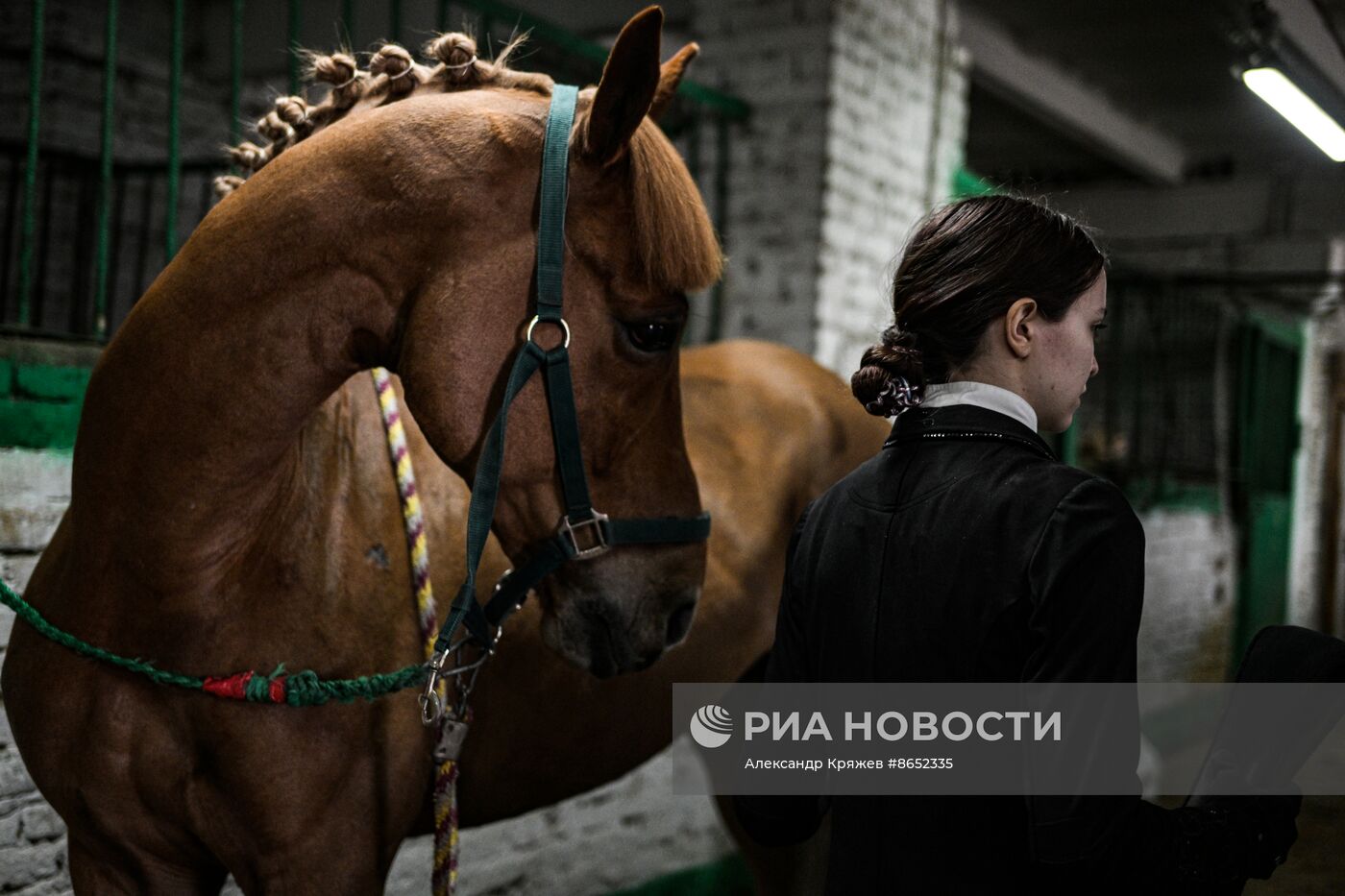Школа олимпийского резерва по конному спорту в Новосибирске