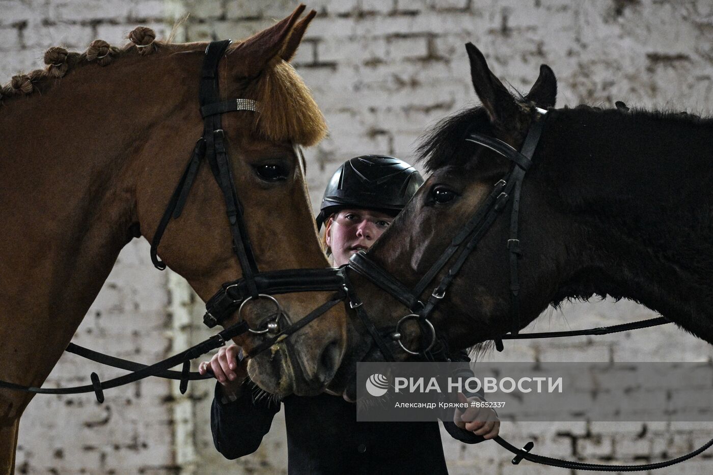 Школа олимпийского резерва по конному спорту в Новосибирске