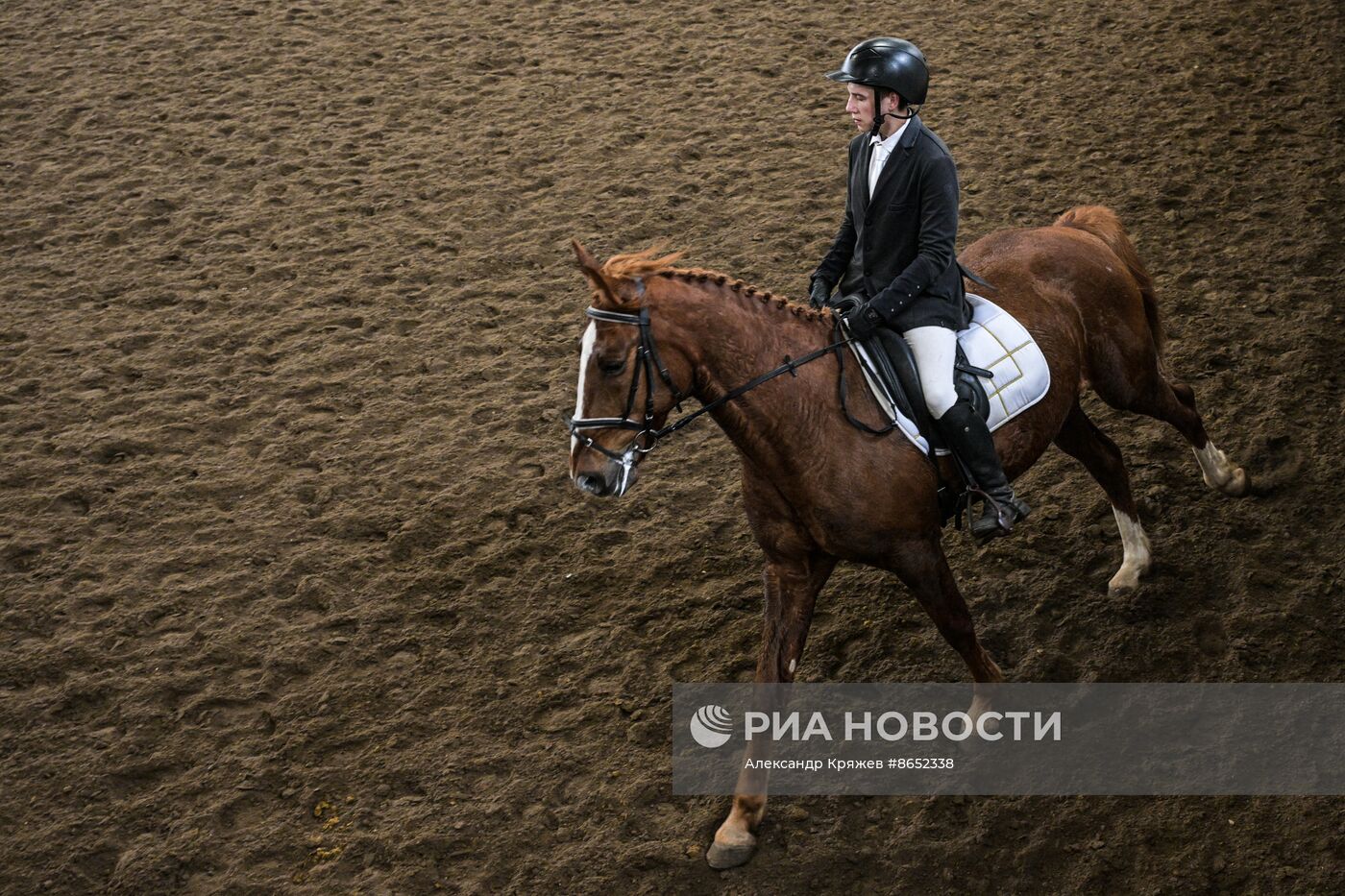 Школа олимпийского резерва по конному спорту в Новосибирске
