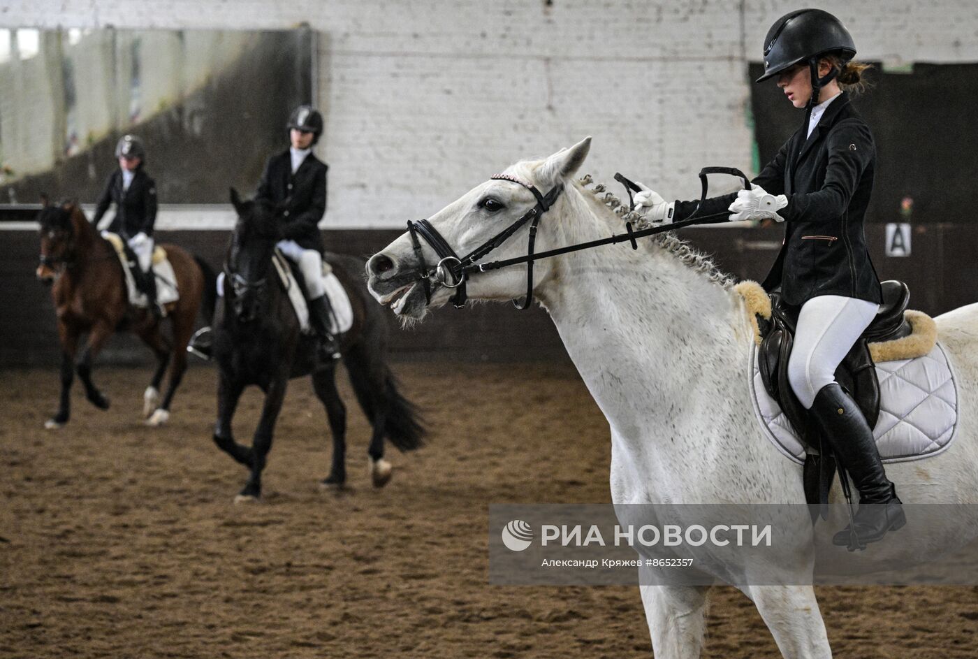 Школа олимпийского резерва по конному спорту в Новосибирске