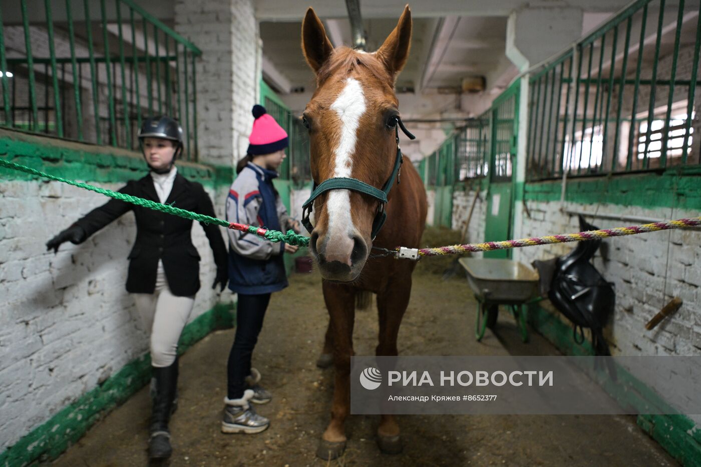 Школа олимпийского резерва по конному спорту в Новосибирске