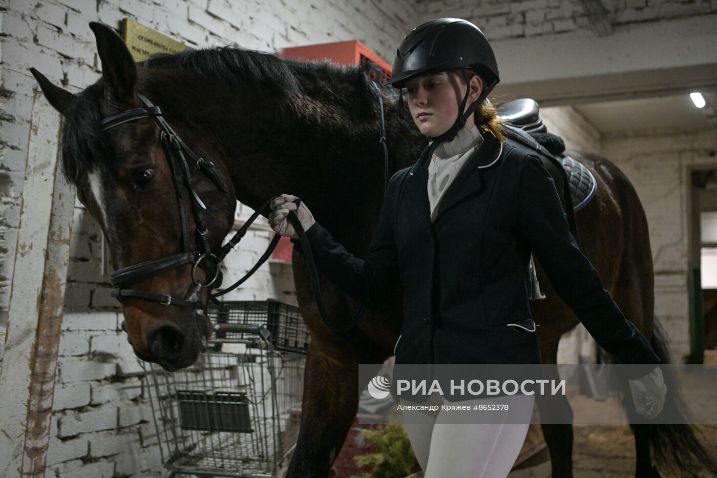 Школа олимпийского резерва по конному спорту в Новосибирске