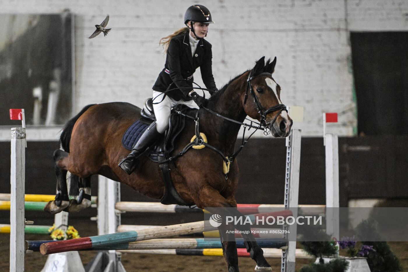 Школа олимпийского резерва по конному спорту в Новосибирске