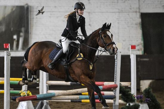Школа олимпийского резерва по конному спорту в Новосибирске