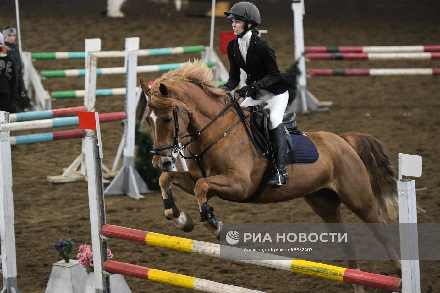 Школа олимпийского резерва по конному спорту в Новосибирске
