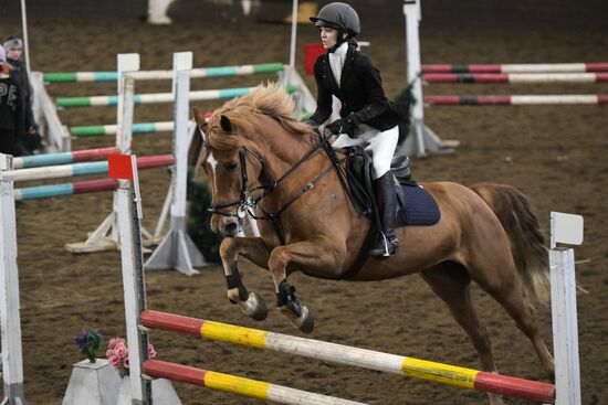 Школа олимпийского резерва по конному спорту в Новосибирске