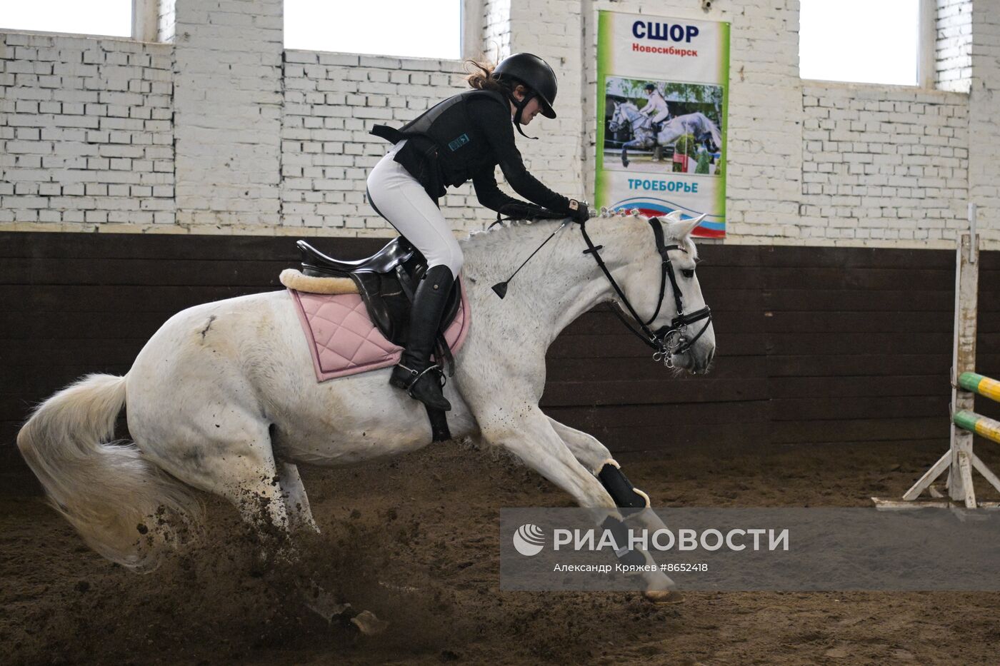 Школа олимпийского резерва по конному спорту в Новосибирске
