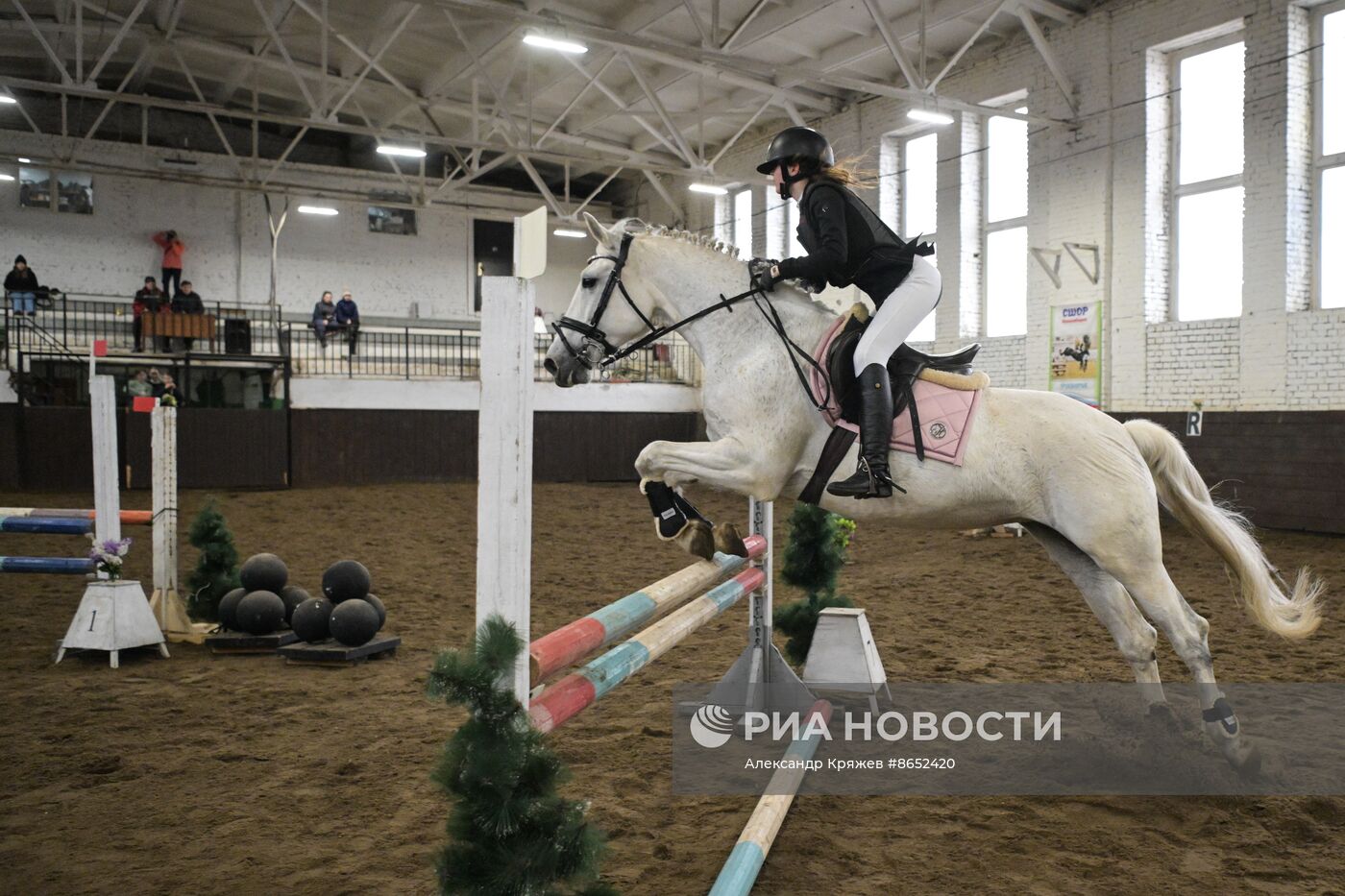 Школа олимпийского резерва по конному спорту в Новосибирске