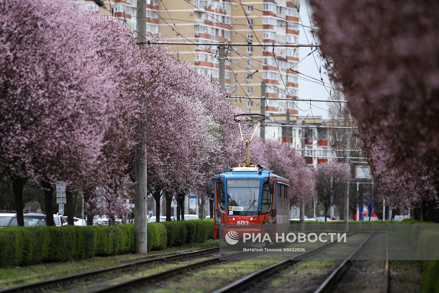 Весна в Краснодарском крае