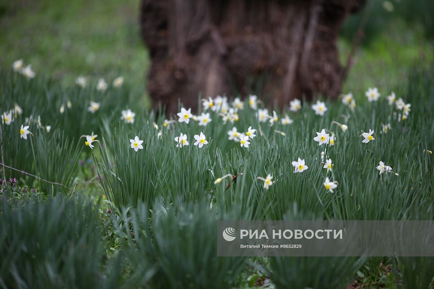 Весна в Краснодарском крае