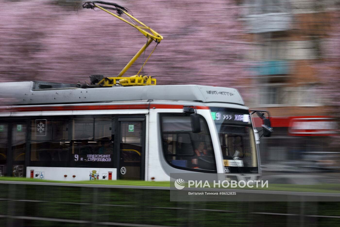 Весна в Краснодарском крае