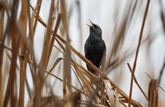 Весна в Краснодарском крае