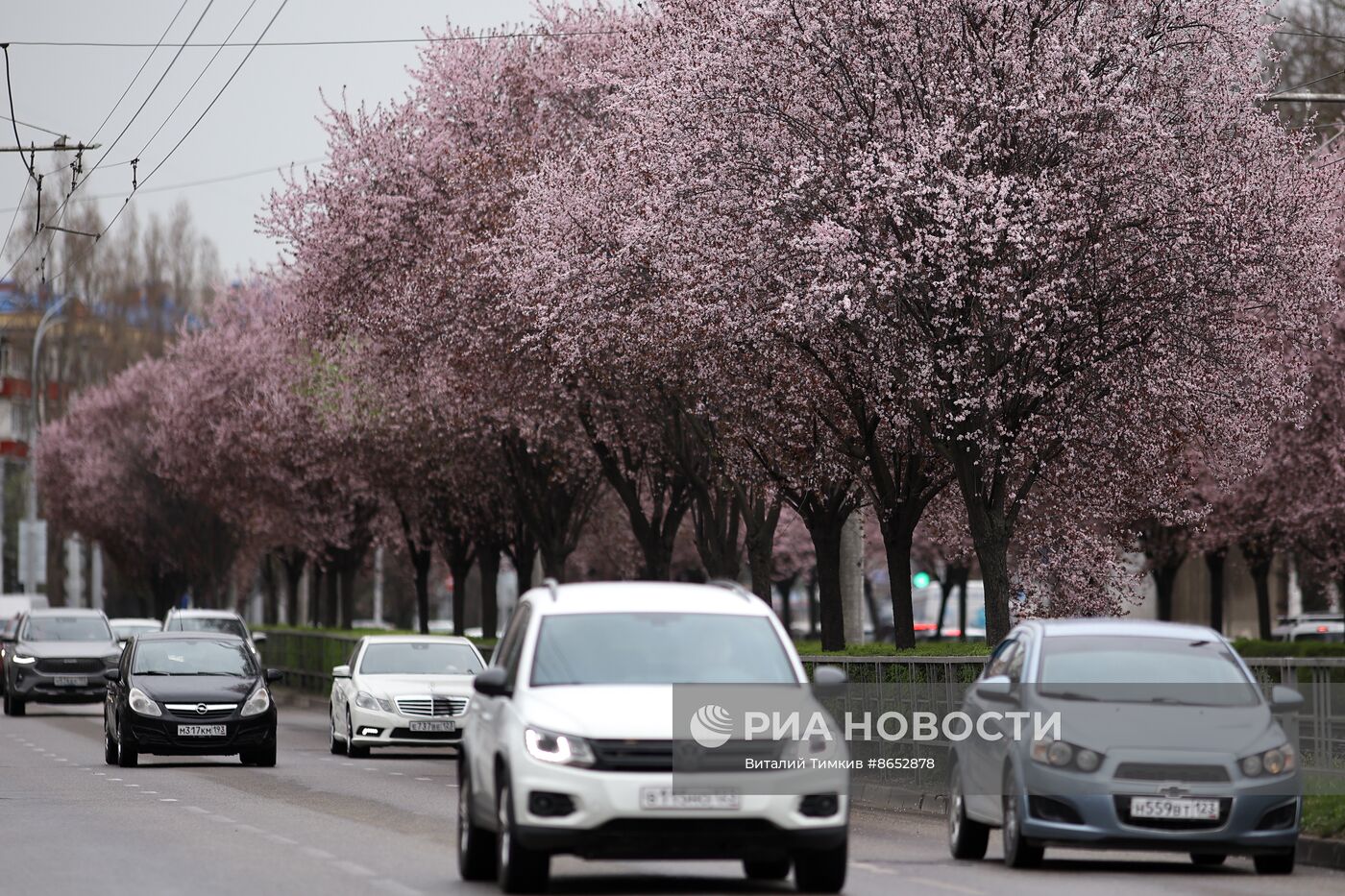 Весна в Краснодарском крае