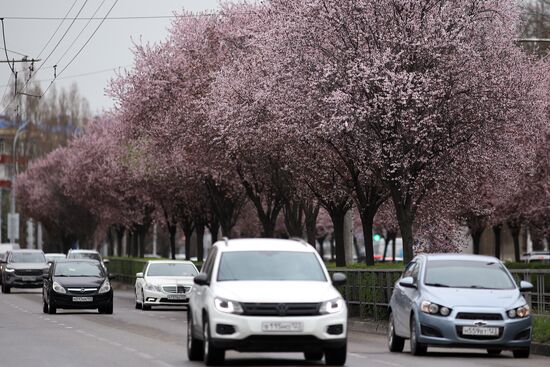 Весна в Краснодарском крае