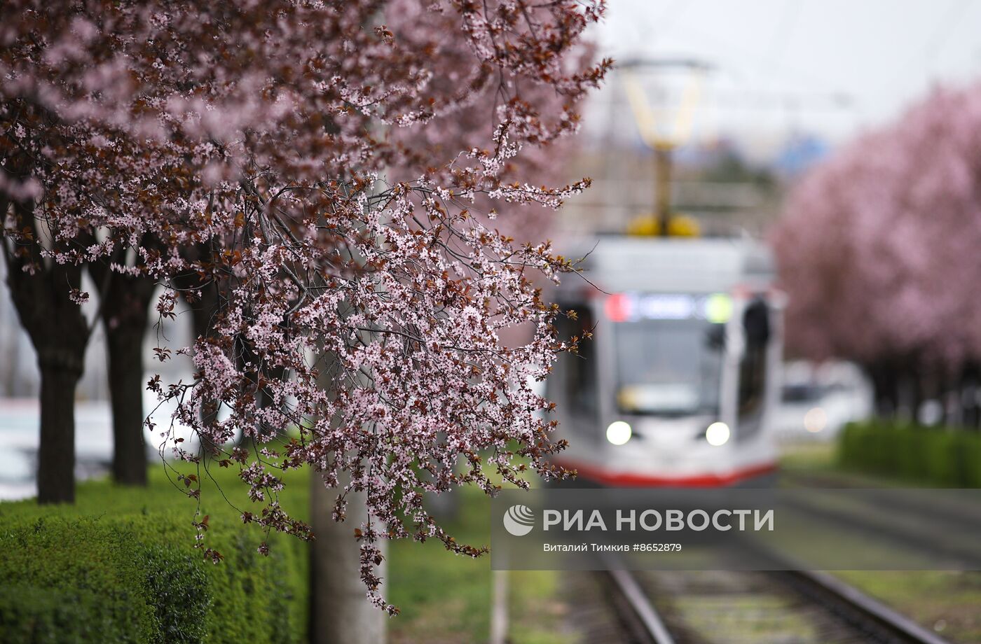 Весна в Краснодарском крае