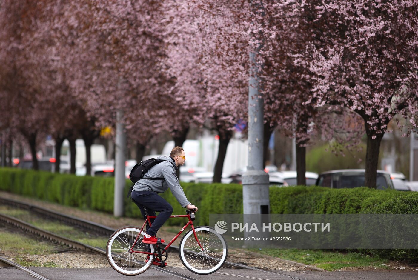 Весна в Краснодарском крае