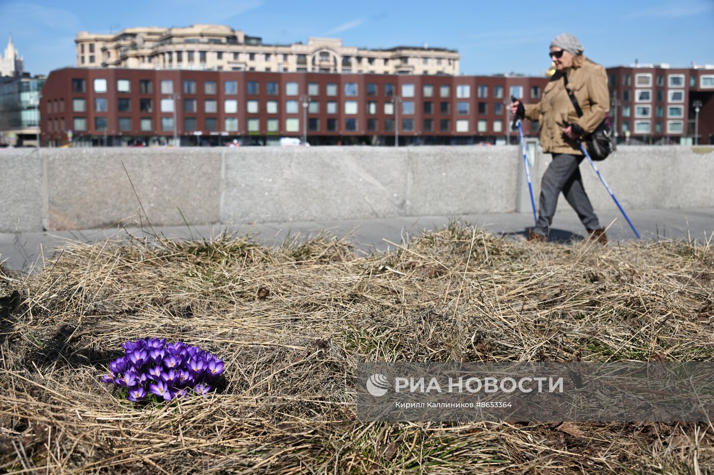 Теплая погода в Москве