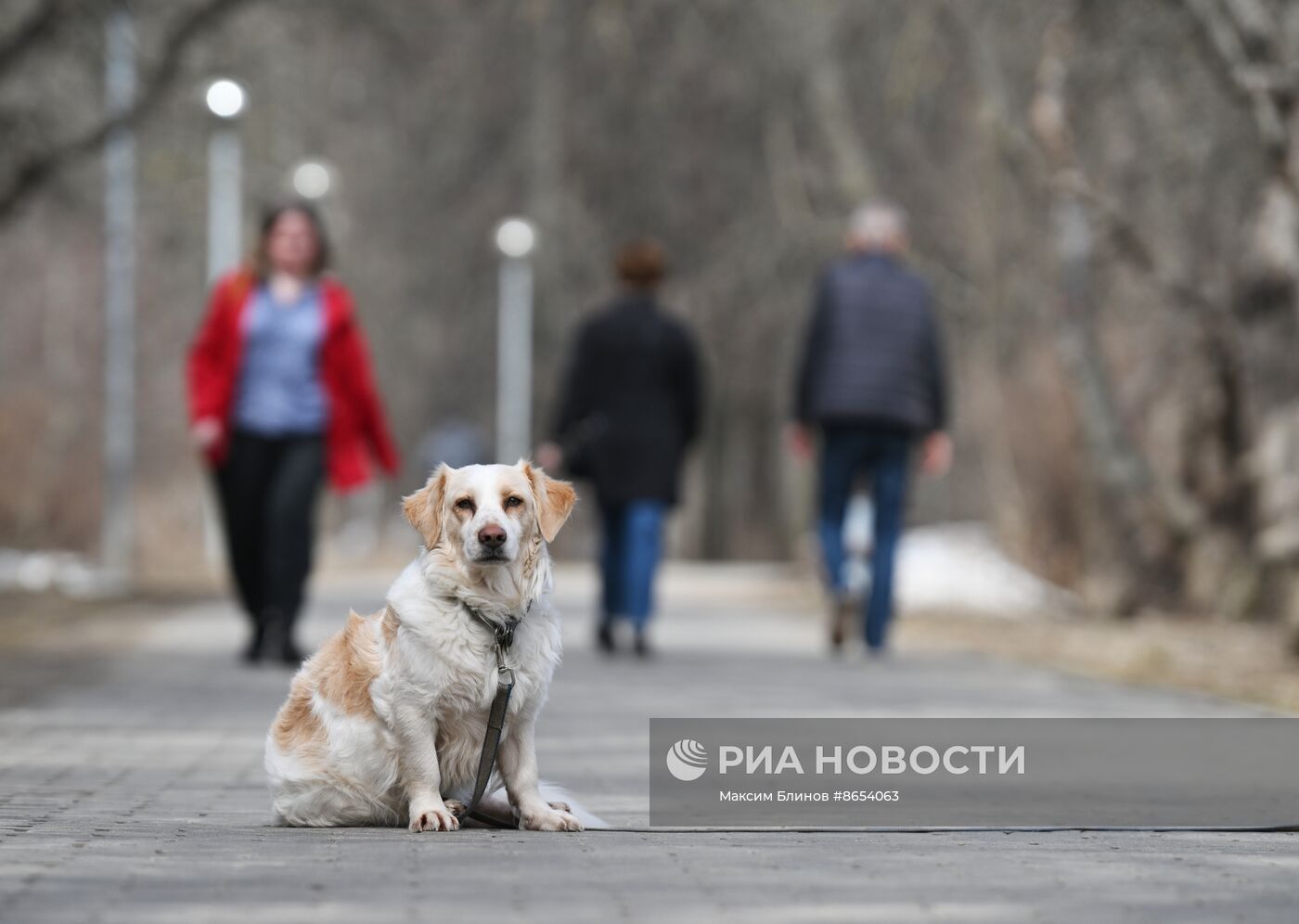 Теплая погода в Москве