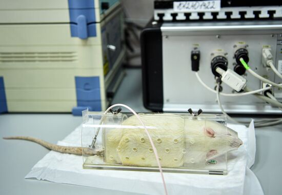 Ученые Крымского университета изучают способы борьбы со стрессом