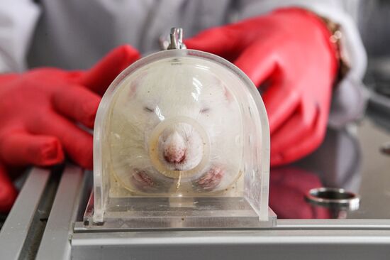 Ученые Крымского университета изучают способы борьбы со стрессом