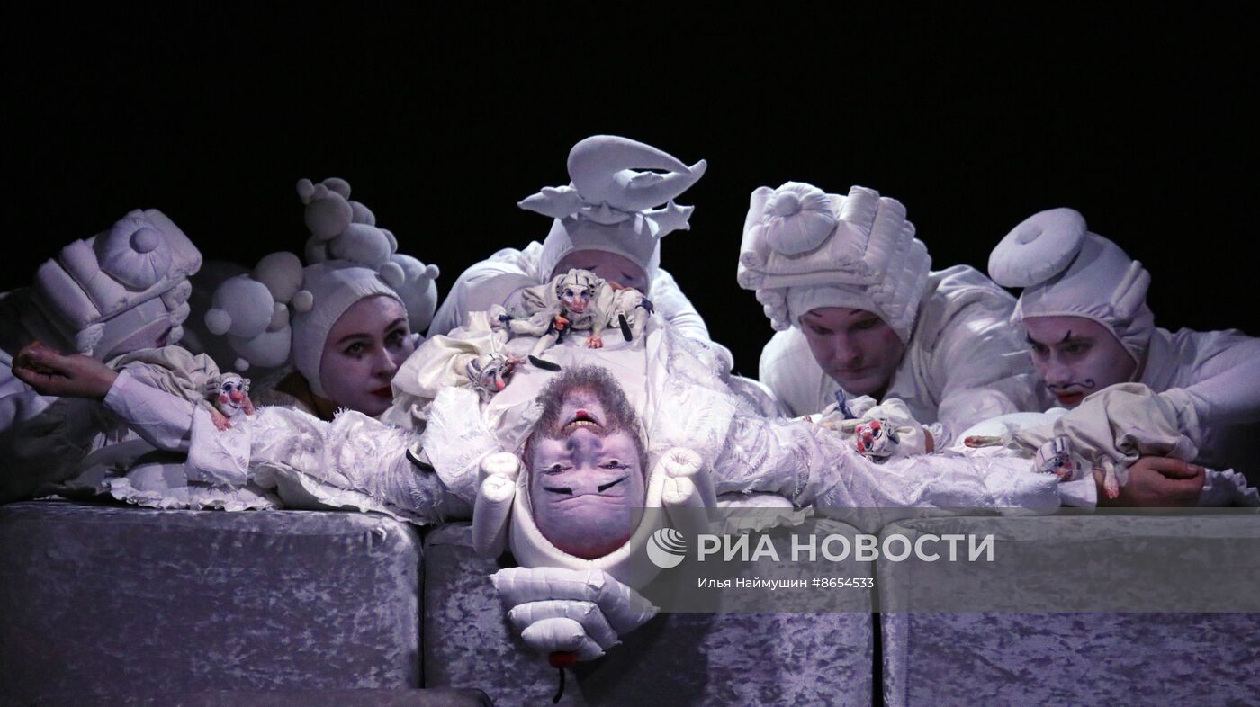 Спектакль "Мнимый больной" в Красноярском театре кукол