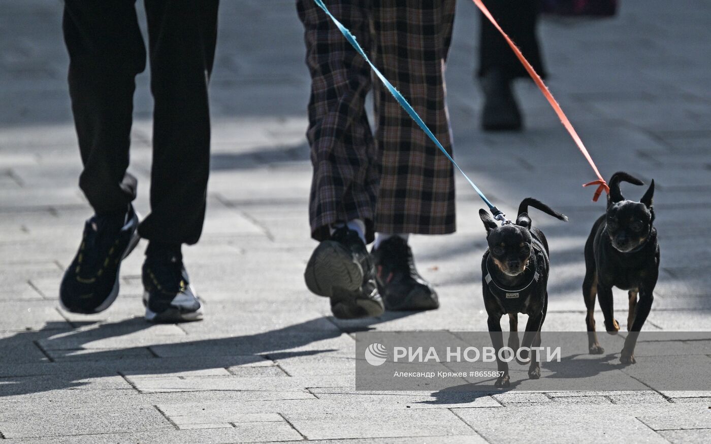 Теплая весенняя погода в Новосибирске