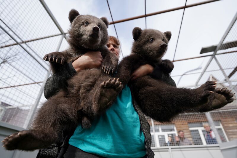 Малыши российских зоопарков
