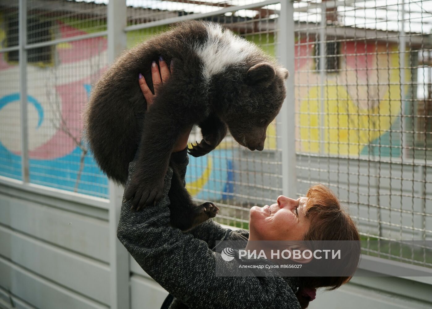 Медвежата в Мариупольском зоопарке