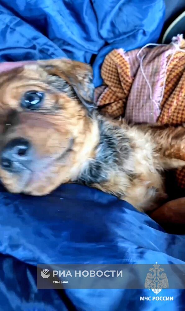 Прорыв дамбы в Орске