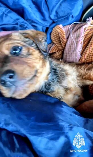 Прорыв дамбы в Орске