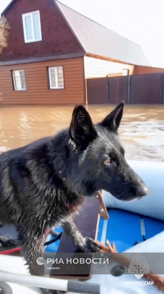 Прорыв дамбы в Орске
